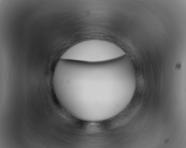 X0000103420222200809121020
