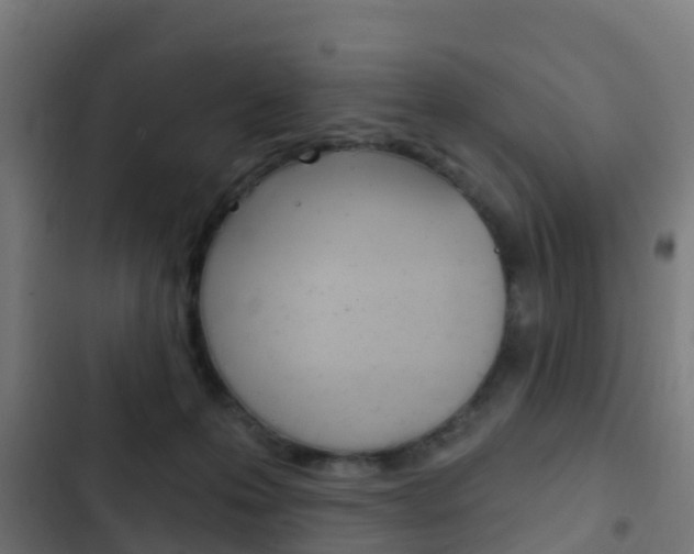 X0000103420223200809121020