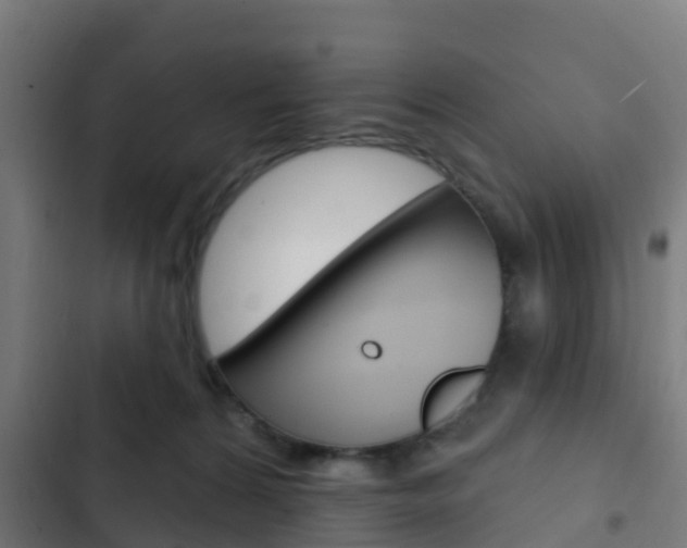 X0000103420224200809121020