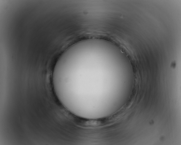 X0000103420225200809121020