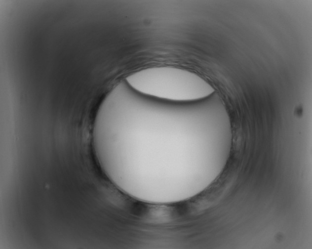 X0000103420226200809121020
