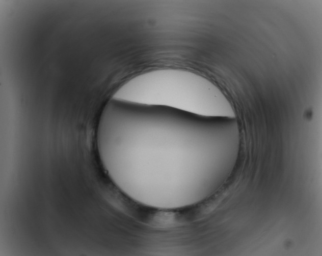 X0000103420227200809121020