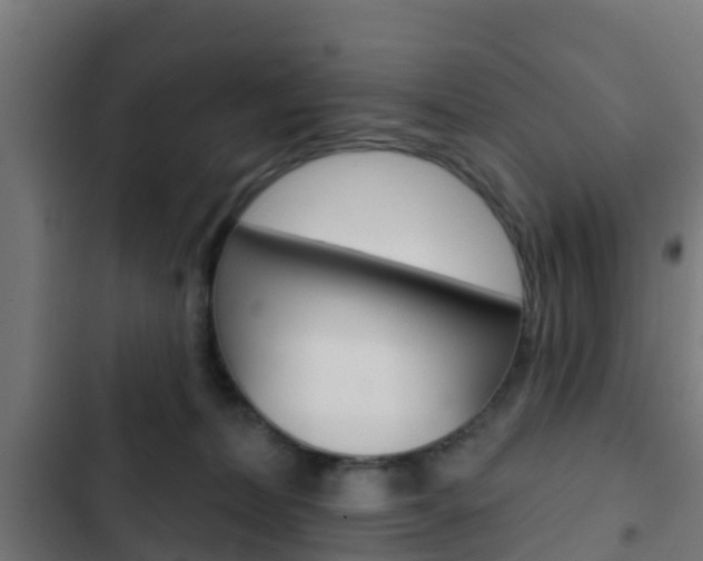 X0000103420228200809121020