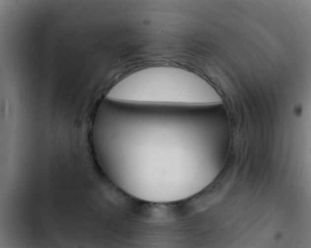 X0000103420229200809121020