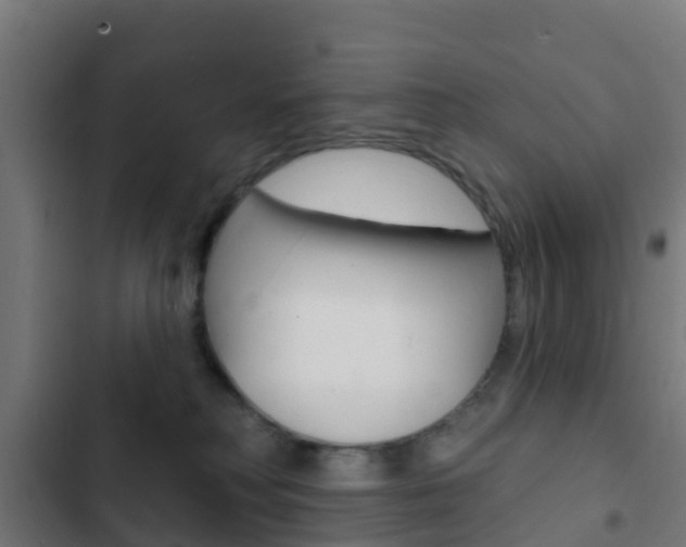 X0000103420230200809121020