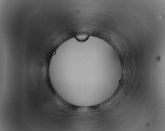X0000103420231200809121020