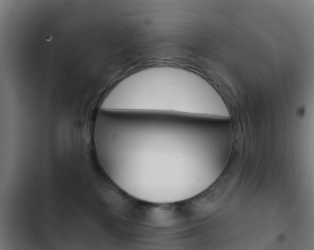 X0000103420232200809121020