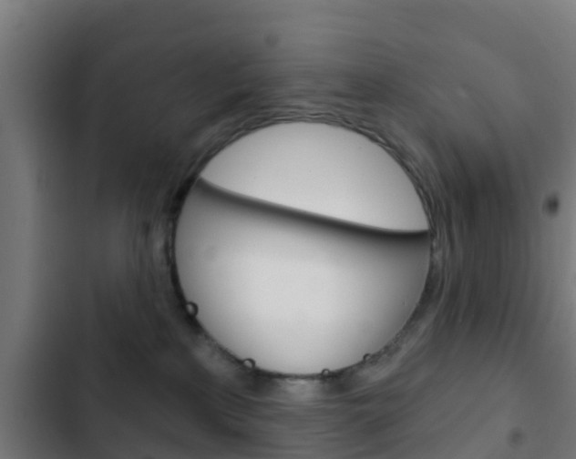 X0000103420233200809121020