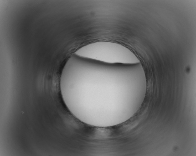 X0000103420234200809121020