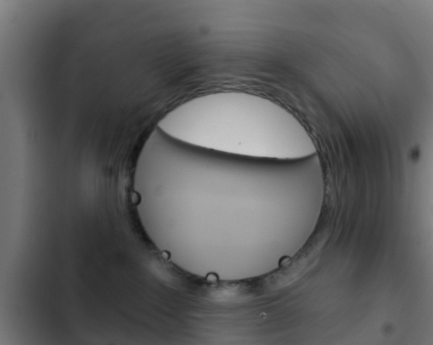 X0000103420235200809121020