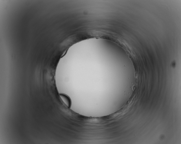 X0000103420237200809121020