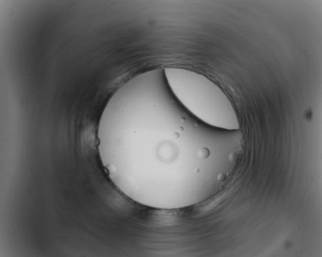 X0000103420238200809121020