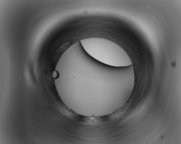 X0000103420239200809121020