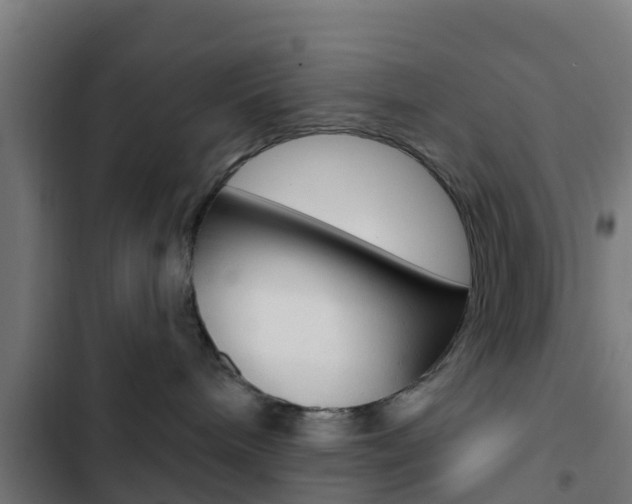 X0000103420240200809121020