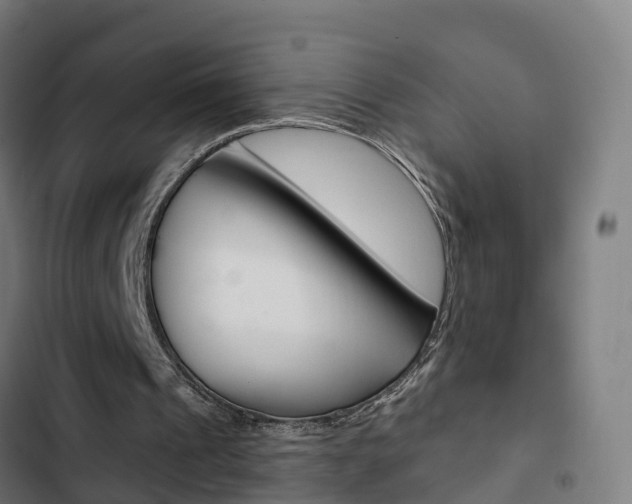 X0000103420241200809121019