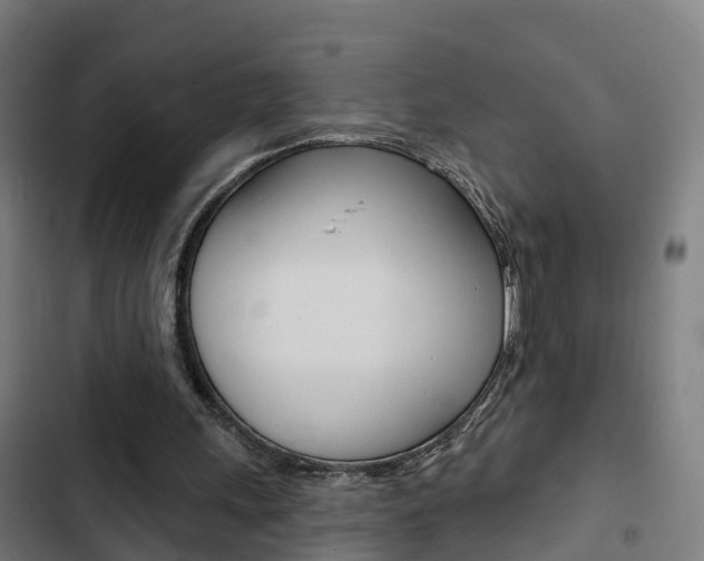 X0000103420243200809121019