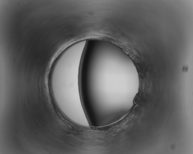 X0000103420244200809121019