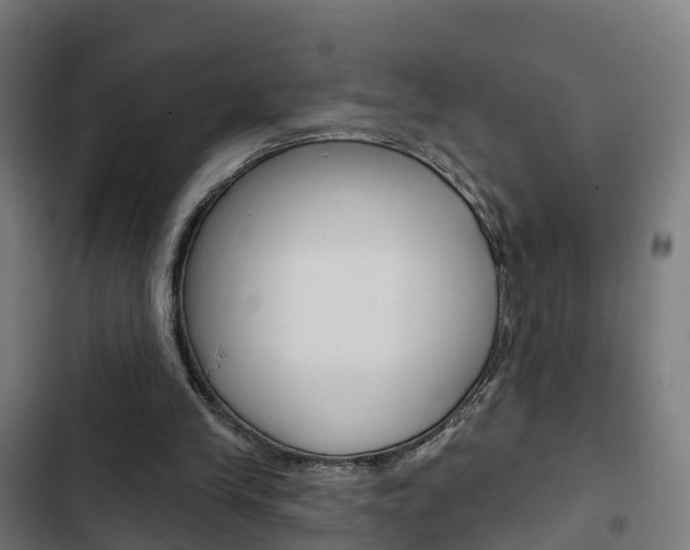 X0000103420245200809121019