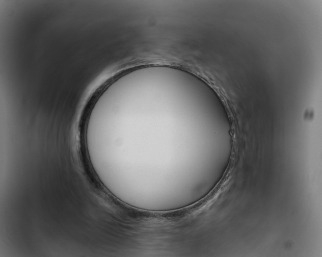 X0000103420246200809121019