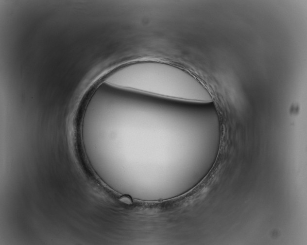 X0000103420247200809121019