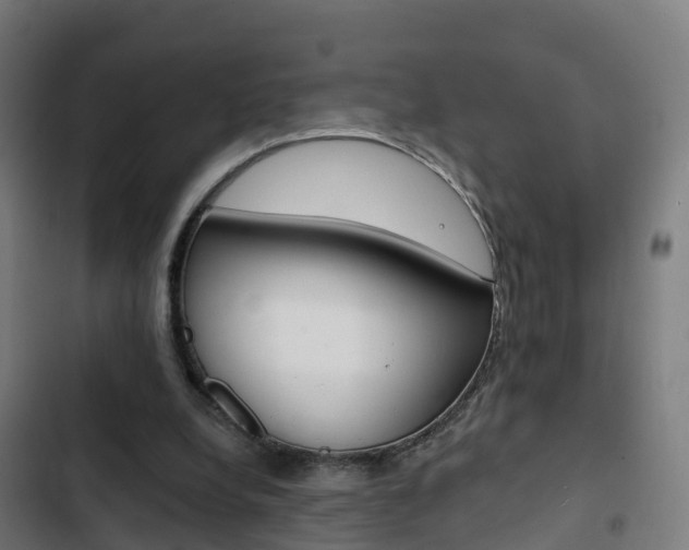 X0000103420248200809121019