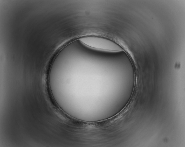 X0000103420249200809121019