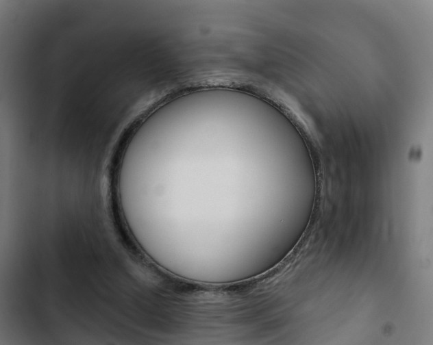 X0000103420250200809121019