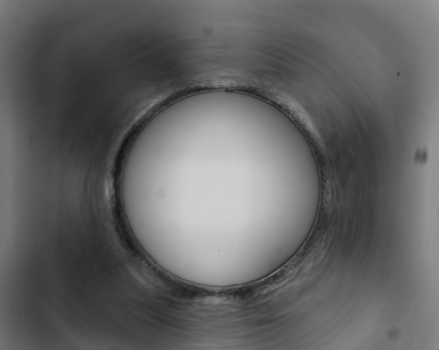 X0000103420251200809121019