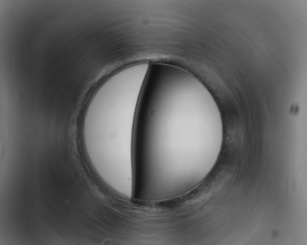 X0000103420256200809121019
