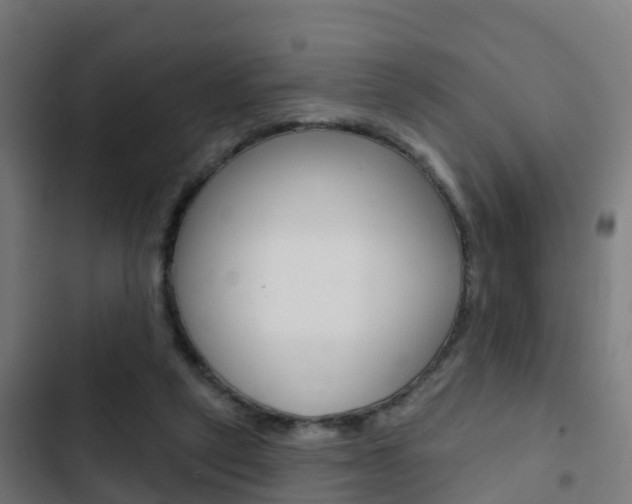 X0000103420257200809121019