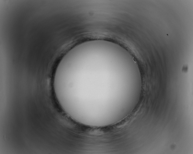 X0000103420258200809121019