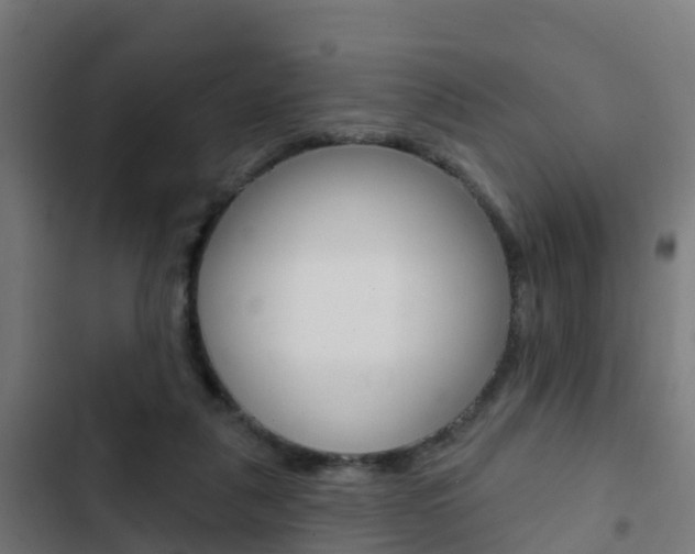 X0000103420259200809121019