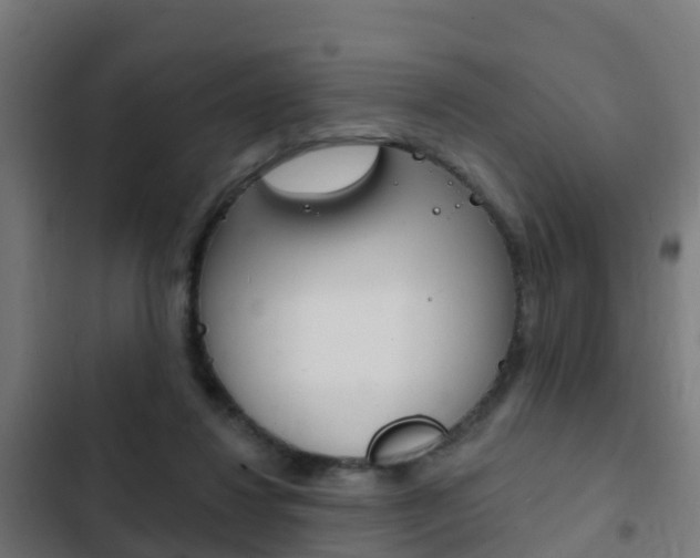 X0000103420260200809121019