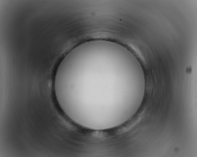 X0000103420261200809121019