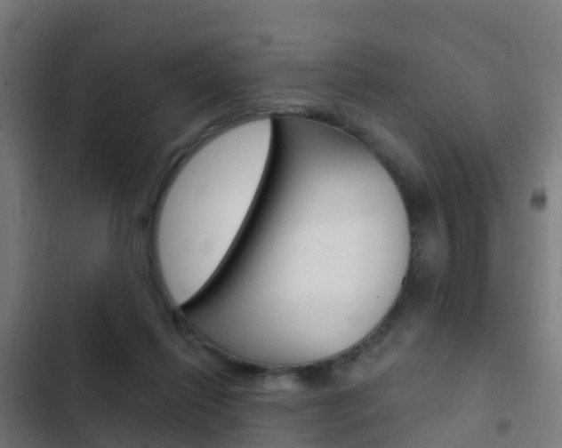 X0000103420262200809121019