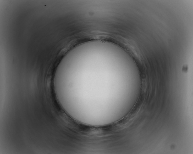 X0000103420263200809121019