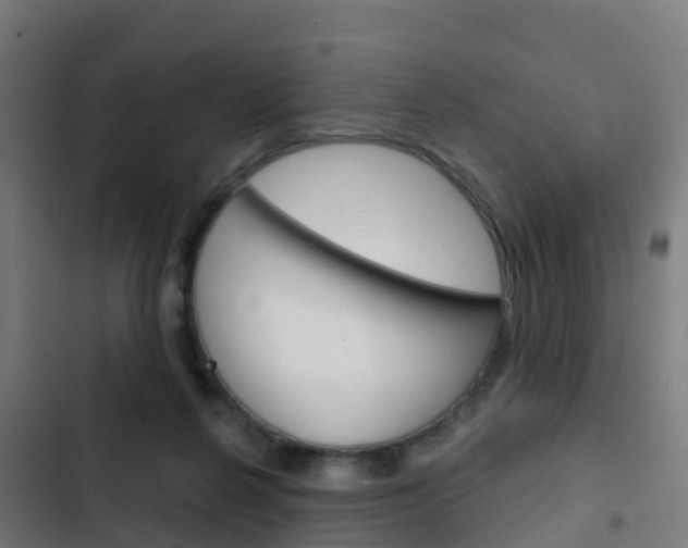 X0000103420264200809121019