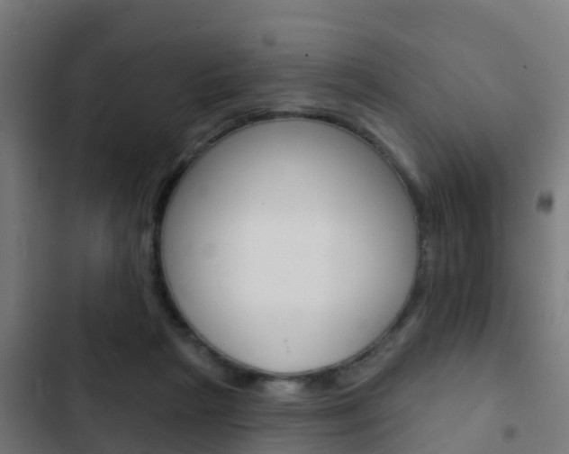 X0000103420265200809121019