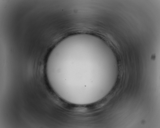 X0000103420266200809121019