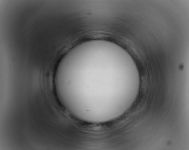 X0000103420267200809121019