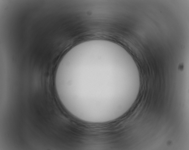 X0000103420268200809121019