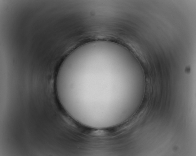 X0000103420269200809121019