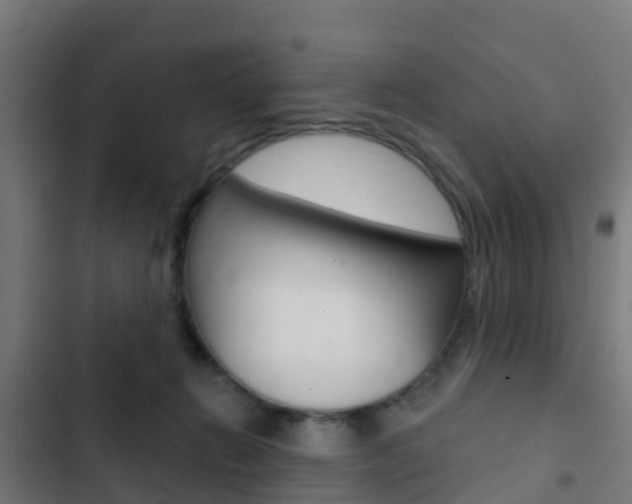 X0000103420270200809121019