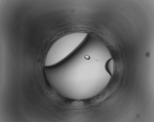 X0000103420271200809121019