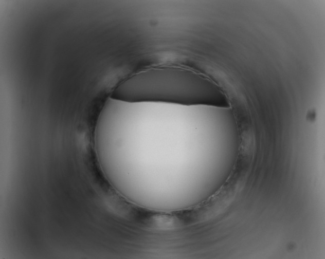 X0000103420272200809121019