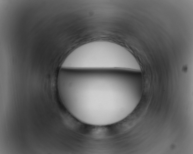 X0000103420274200809121019