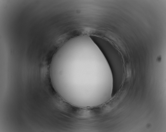 X0000103420276200809121019