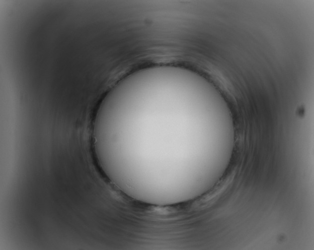 X0000103420277200809121019