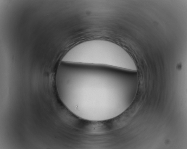 X0000103420278200809121019