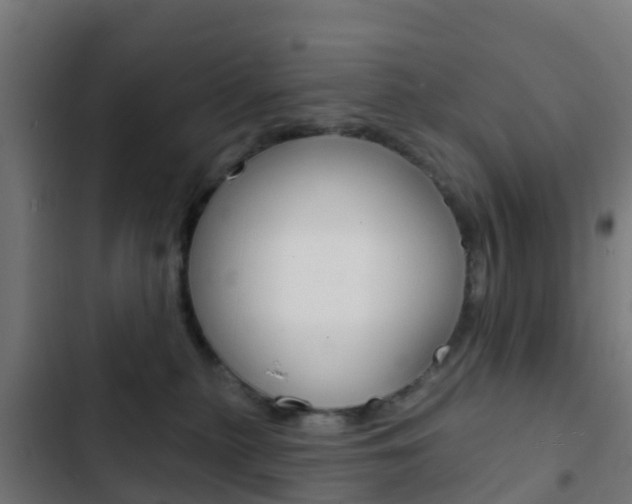 X0000103420279200809121019